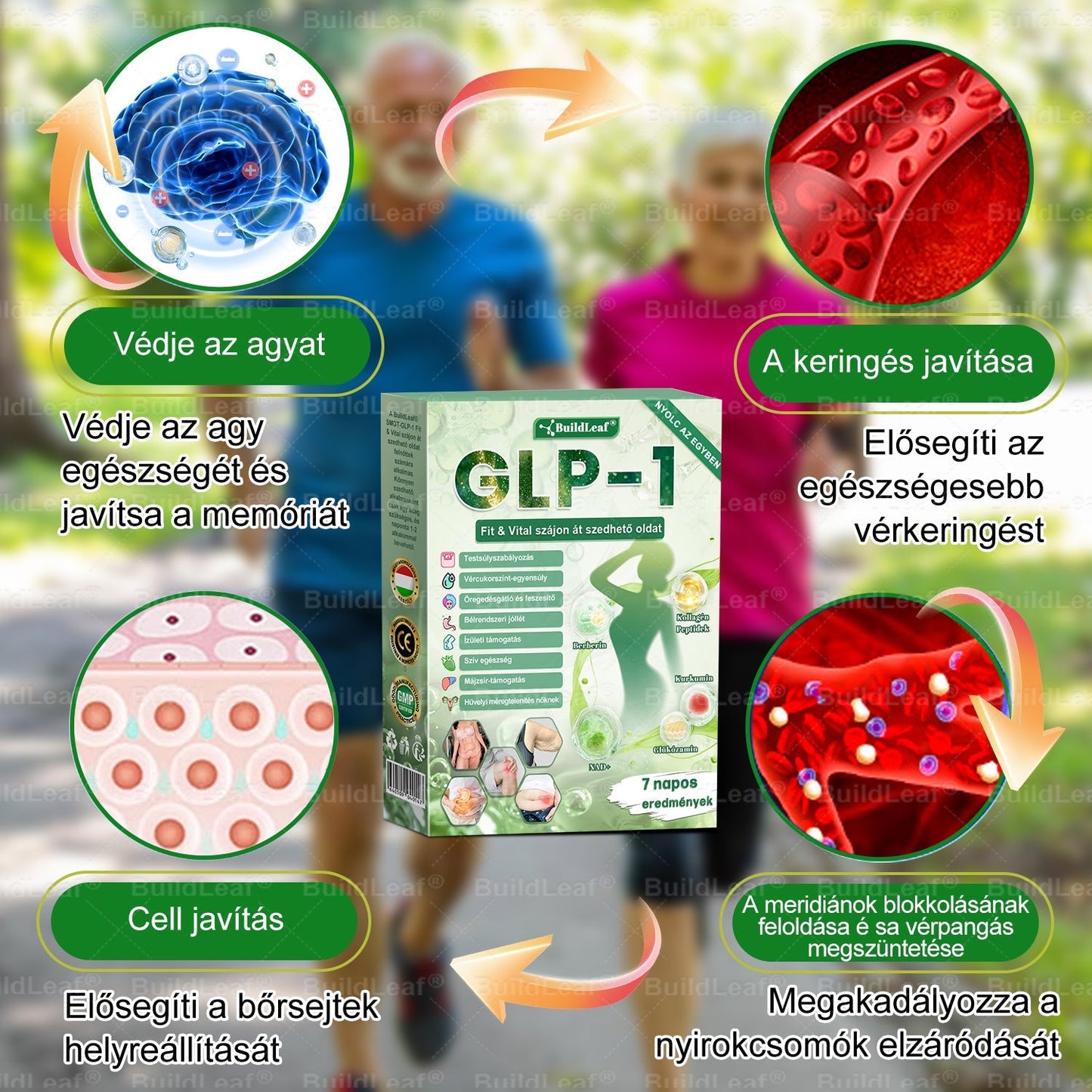 🌿BuildLeaf®🥇 GLP-1 8-az-1-ben Fit & Vital Orális Oldat (Csak napi egyszer, látható változások 7 nap alatt)  Elhízásra, szív- és érrendszeri egészségre, cukorbetegségre, alvási apnoéra, emésztőrendszeri egészségre, ízületi problémákra és még sok másra