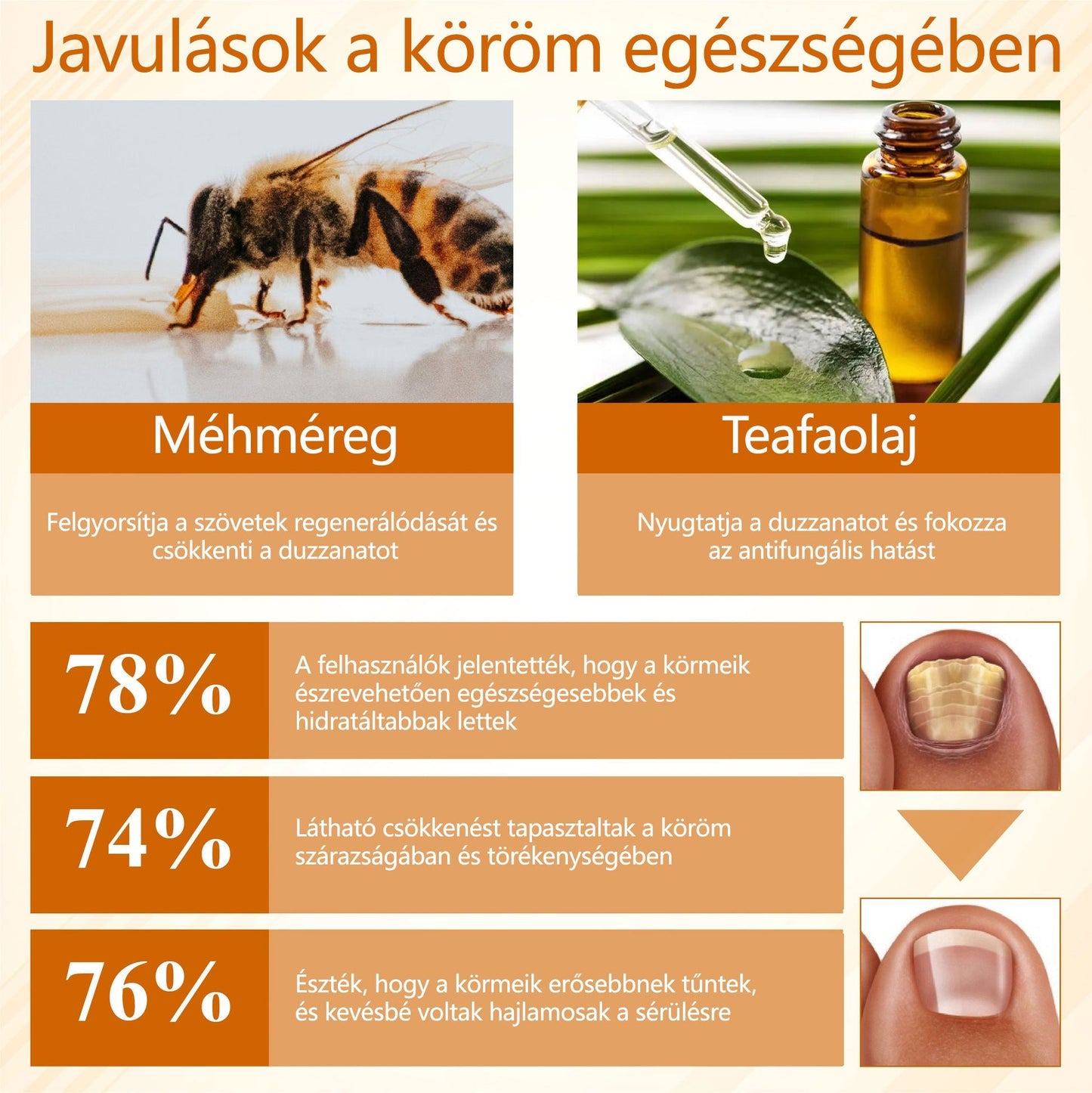 Croaie® Fungiclear Bee Therapy Nail Spray🎁🎁🎁